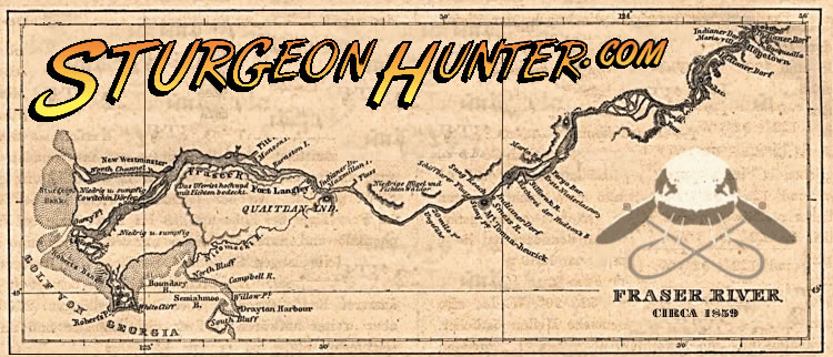 White sturgeon fishing packages — Sturgeon Hunter – Sturgeon Hunter