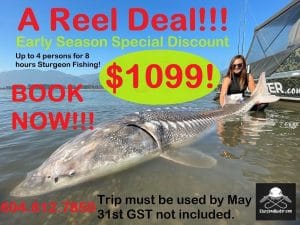 Sturgeon Fishing Deal Sale